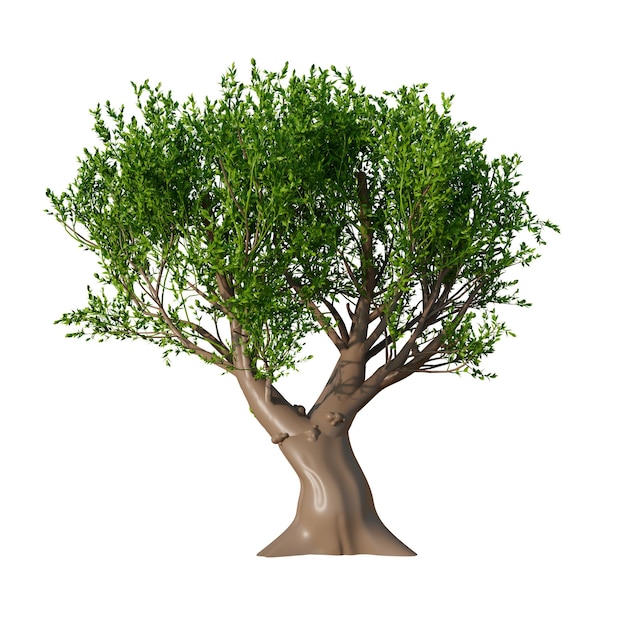 Ilustracja 3D elementów Włoch