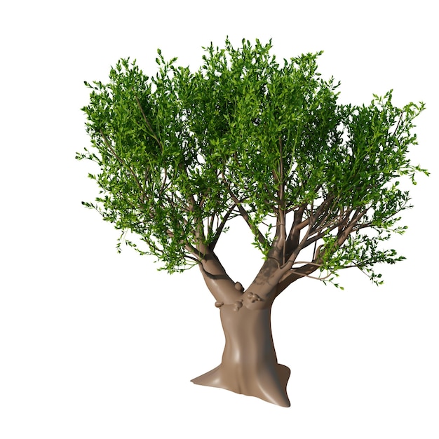 Ilustracja 3D elementów Włoch