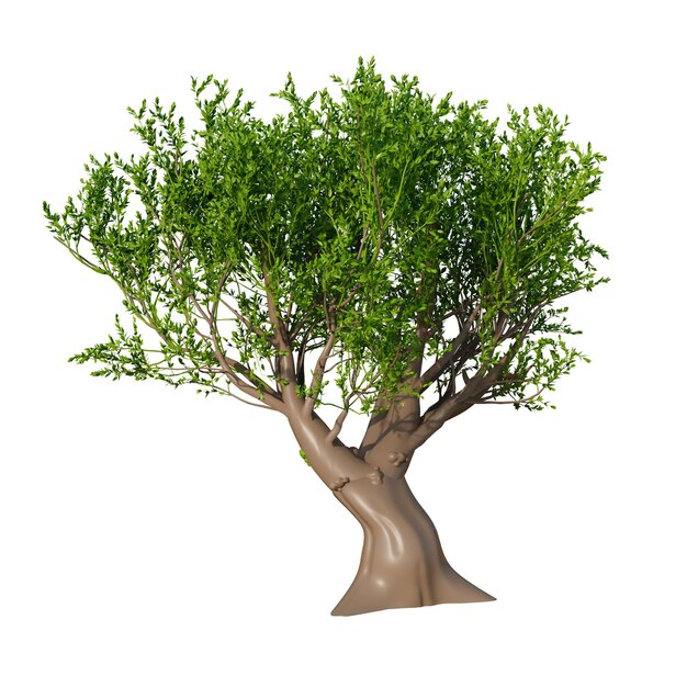 Ilustracja 3D elementów Włoch
