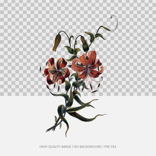 Ilustracja akwarelowa o tygrysiej lilii