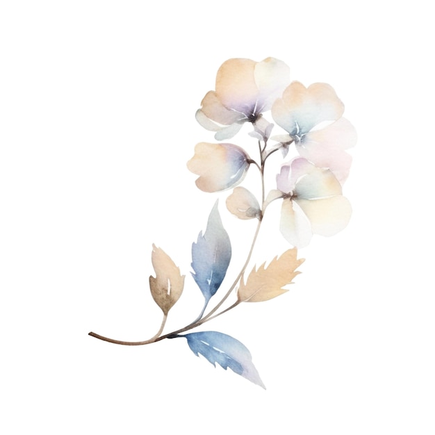 Ilustracja akwarelowych dzikich kwiatów Ręcznie narysowane kwiaty izolowane na białym tle
