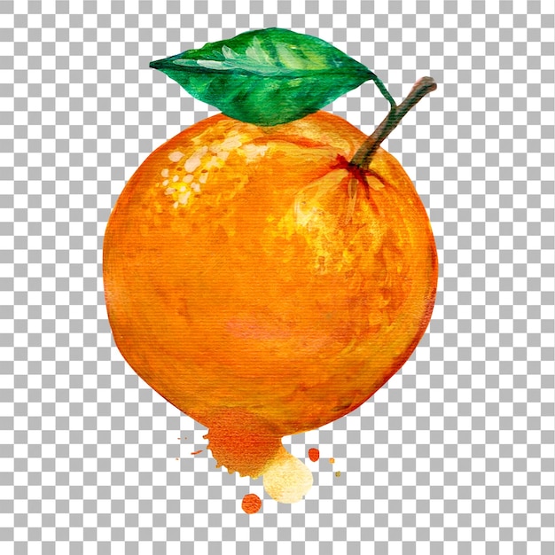 Ilustracja koncepcyjna pomarańczowego ręcznego rysunku w kolorze wodnym pasującego do projektu elementu