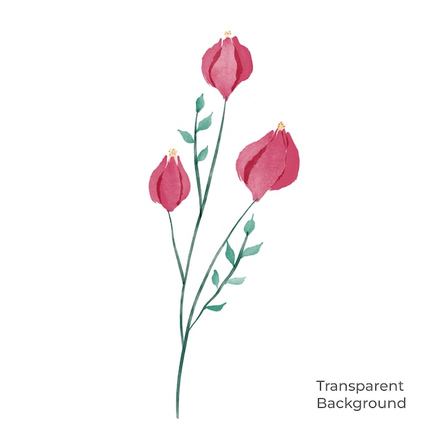 PSD ilustracja kwiatu akwarela przezroczyste tło utworzone za pomocą prokreacji