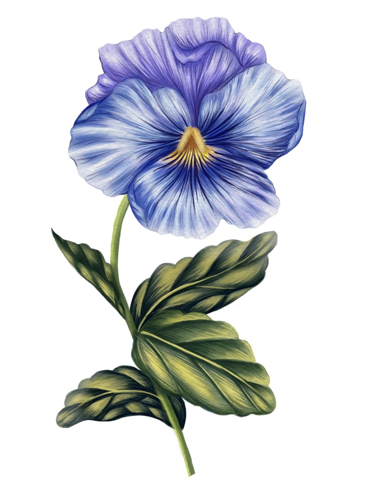PSD ilustracja niebieskiego kwiatu w stylu akwarelu arrangement kwiatowy