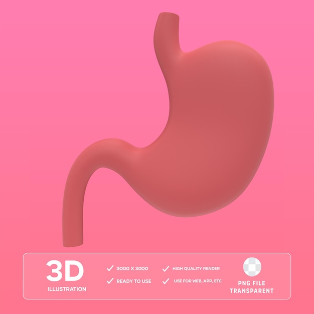 Ilustracja PSD Stomach 3D