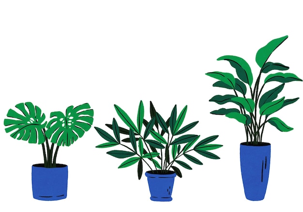 Ilustracja roślin w garnkach