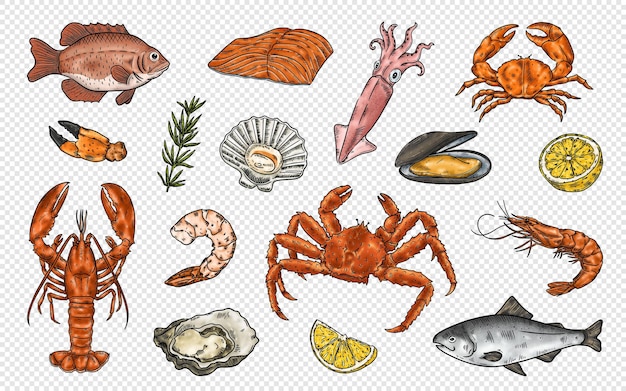Ilustracje Kliparty z owocami morza