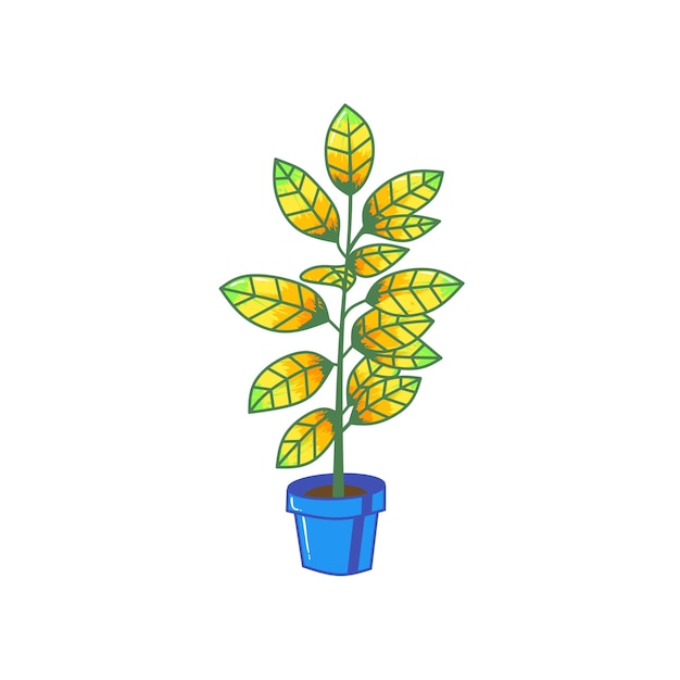 PSD immagine di un fiore con foglie giallastre arancione-verdi
