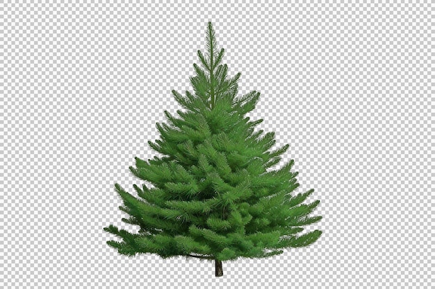 Image of realistic spruce tree isolated on transparent background