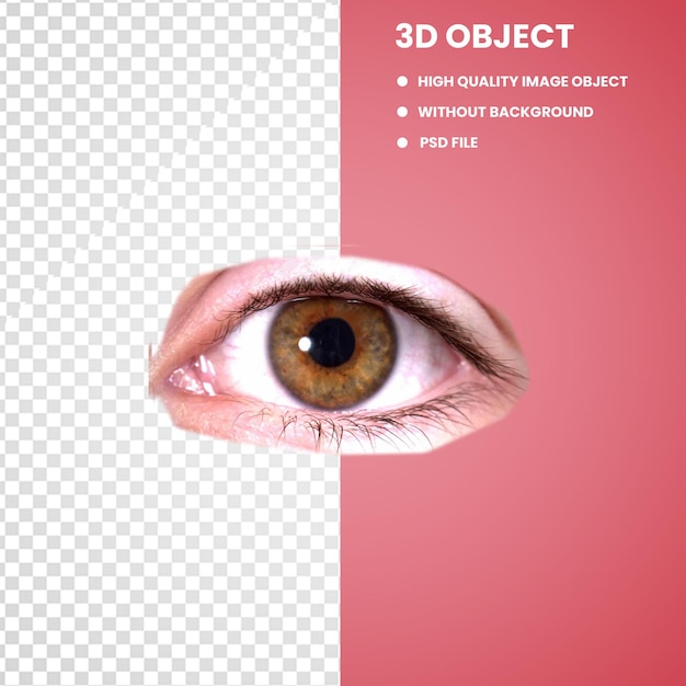 Imagen de los ojos