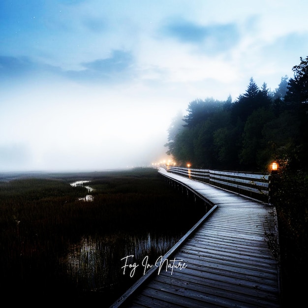 in de natuur Morning Ai Genereren mist