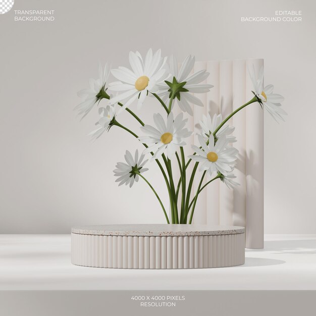 Квадратный белый маргаритка цветок 3d изображение сделать прозрачный фон бежевого цилиндра подиума