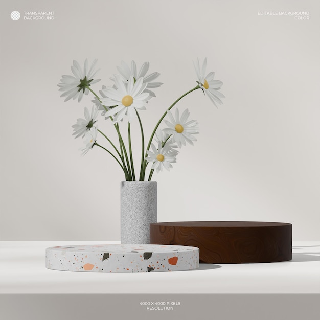 in vierkante witte madeliefje in vaas rendering 3d doorzichtige achtergrond van witte terrazzo en hout podium