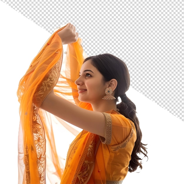 indian wedding sari