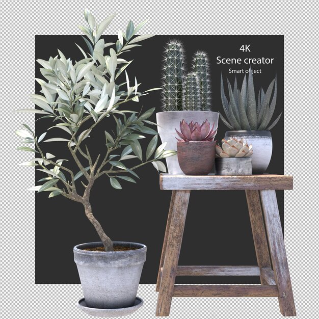 PSD indoor plants in pot on wooden stool isolated