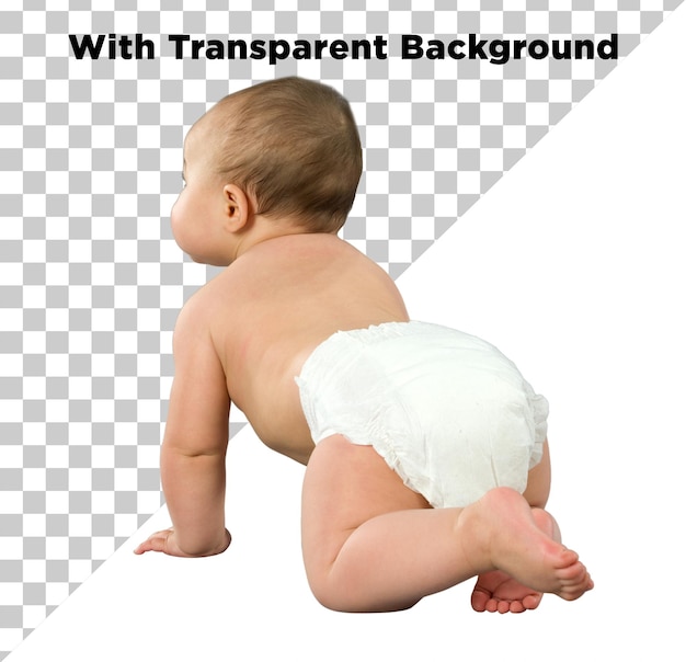 infant in diaper crawling back shot png psd isolated on transparent background