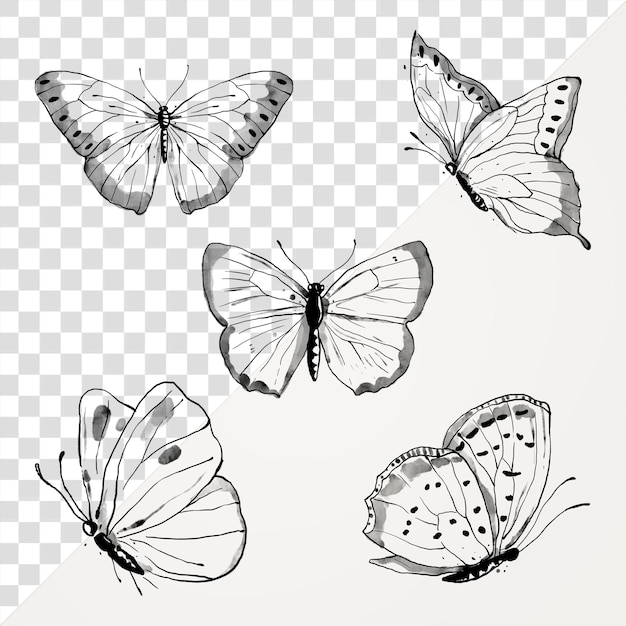 Inkośnik motyl png naklejka linia element projektowania sztuki