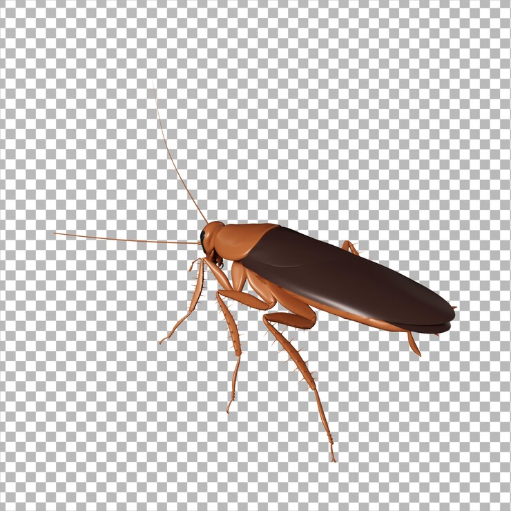 PSD insect 3d icon