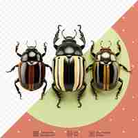 PSD insecten met de naam beetles