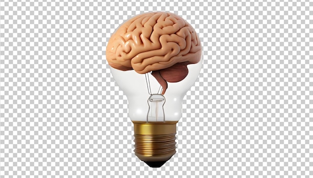 PSD inside brain transparent 3d rendered light bulb