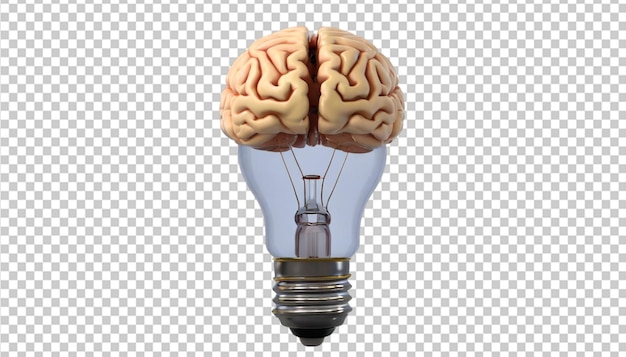 PSD inside brain transparent 3d rendered light bulb