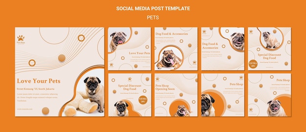 PSD instagram-berichtenverzameling voor dierenwinkel met hond