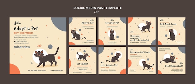 Instagram posts collection for cat adoption