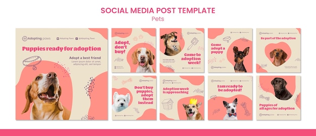 PSD instagram posts collection for pet adoption with dog