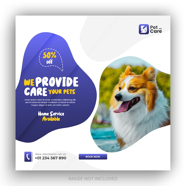 PSD instagram posts collection for pet care service