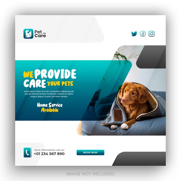 PSD instagram posts collection for pet care service