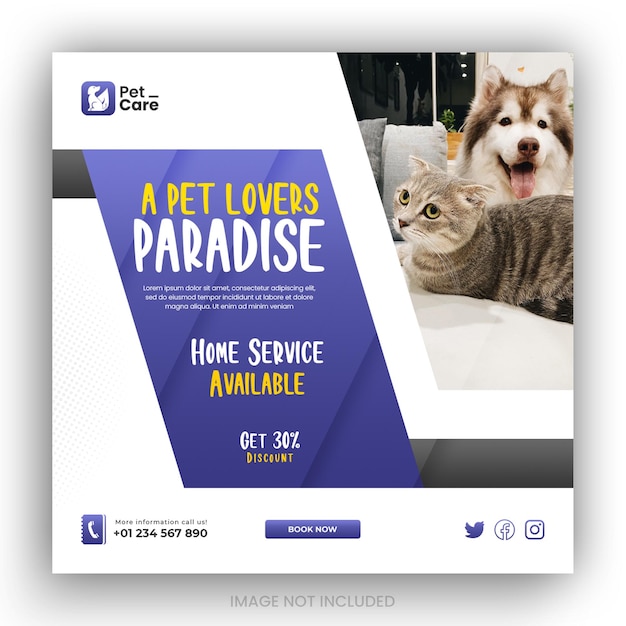 PSD instagram posts collection for pet care service