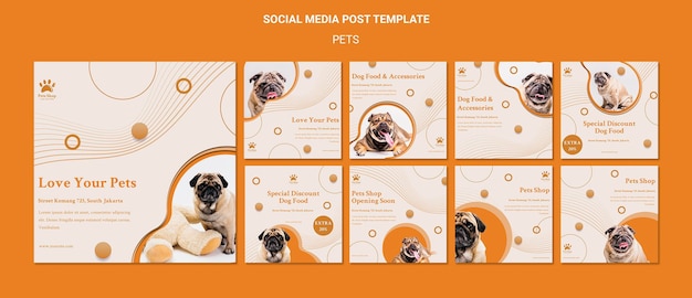 PSD instagram posts collection for pet shop with dog