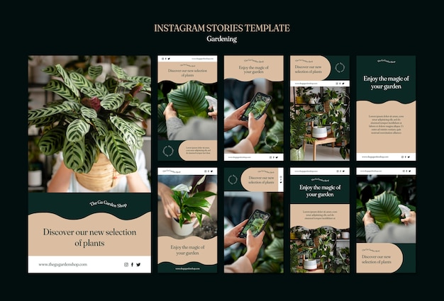 PSD instagram stories collection for indoor plant growing