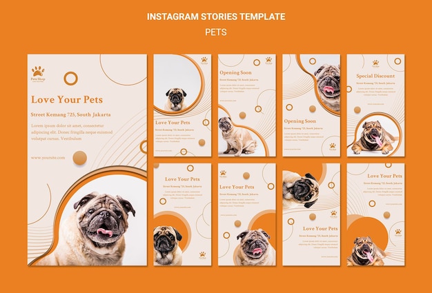 PSD raccolta di storie di instagram per negozio di animali con cane