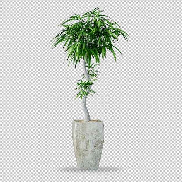 Installatie in pot in het 3d teruggeven