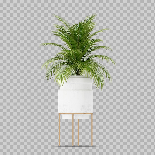 PSD interior plant in 3d rendering isolated