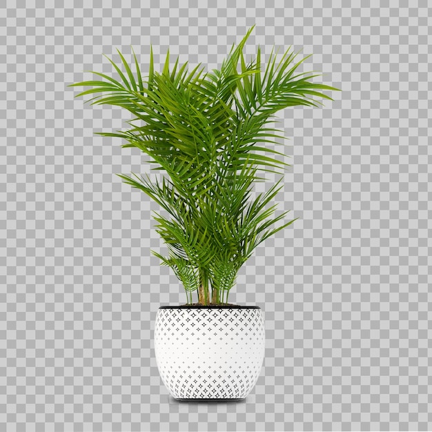 PSD interior plant in 3d rendering isolated