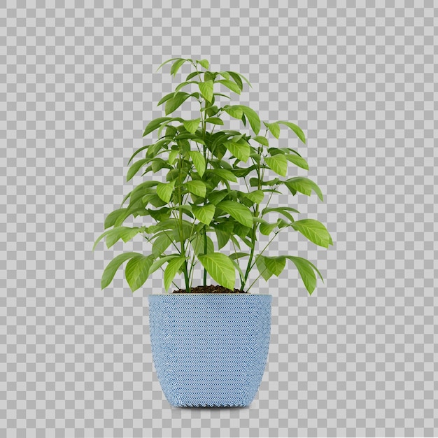 分離された3dレンダリングの内部植物