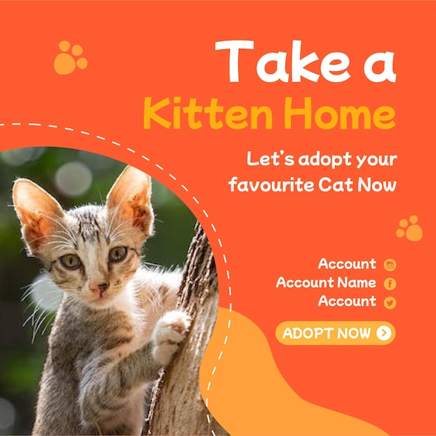 PSD international cat day instagram post psd template