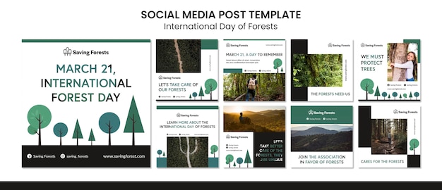 PSD post di instagram della giornata internazionale delle foreste