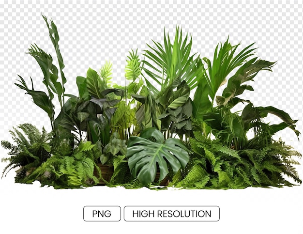 PSD una foto intricata di una disposizione trasparente di piante tropicali