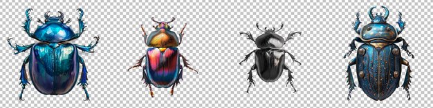 PSD iridescent beetles collection isolated on transparent background