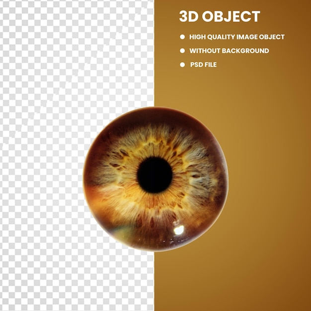 PSD iris human eye