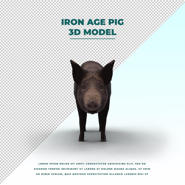 PSD iron age pig