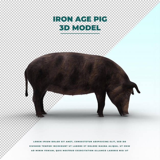 PSD iron age pig