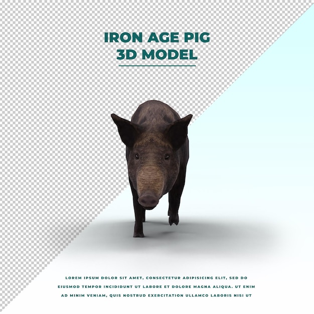 PSD iron age pig