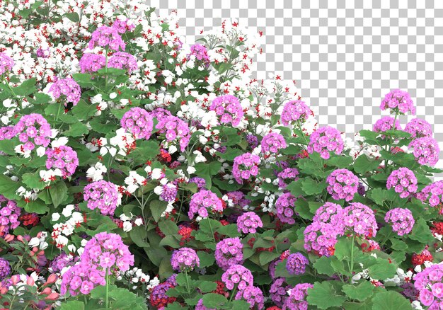 Island of flowers on transparent background 3d rendering illustration