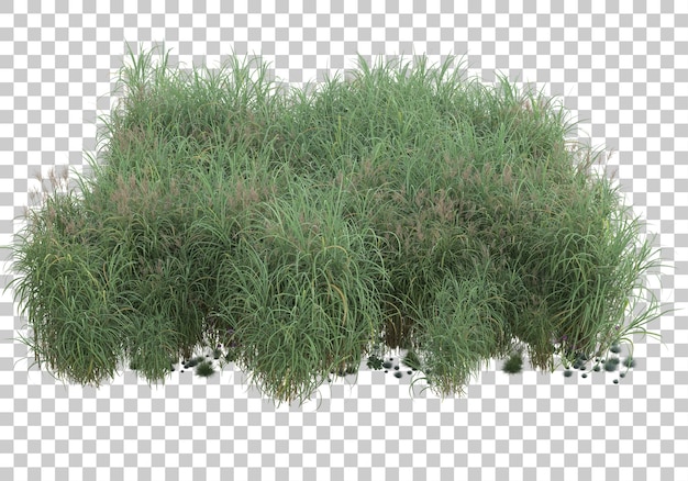 Island of grass on transparent background 3d rendering illustration