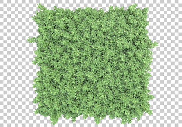 Island of grass on transparent background 3d rendering illustration