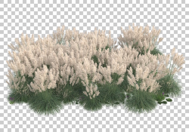 透明な背景の草の島3dレンダリングイラスト